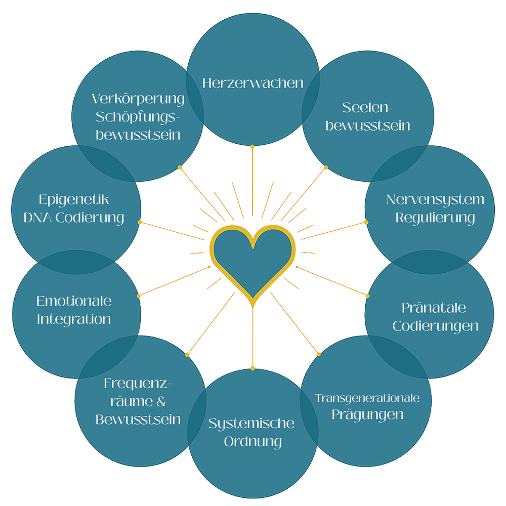Herzerwachen Ausbildung Module